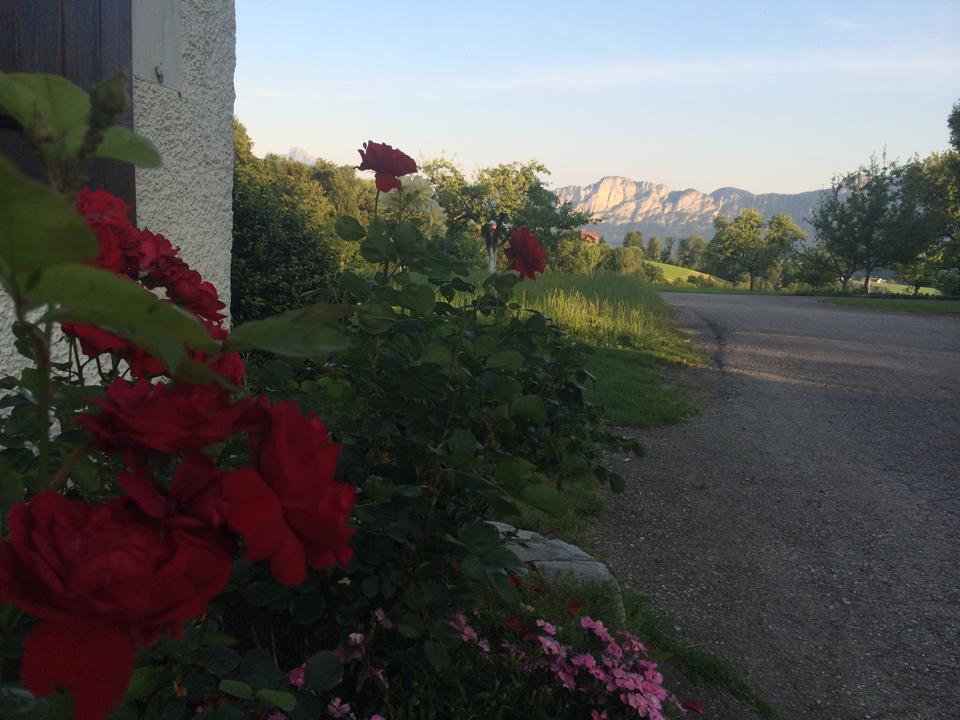 Rauhbergerhof Villa Tiefgraben Luaran gambar