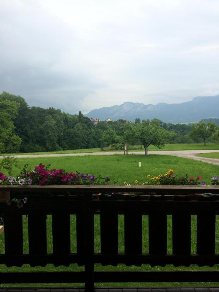 Rauhbergerhof Villa Tiefgraben Bilik gambar