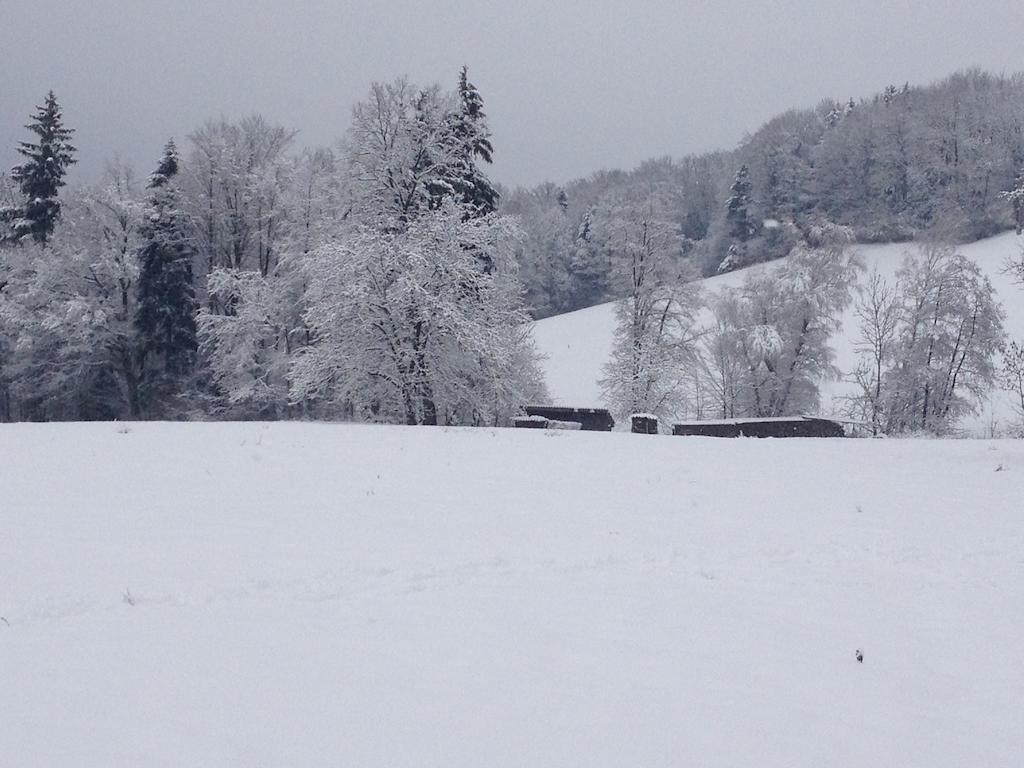 Rauhbergerhof Villa Tiefgraben Luaran gambar
